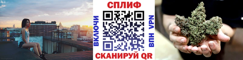 Бошки Шишки семена  Салаир 